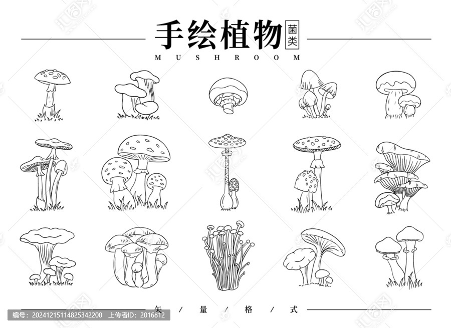 手繪植物線稿菌類
