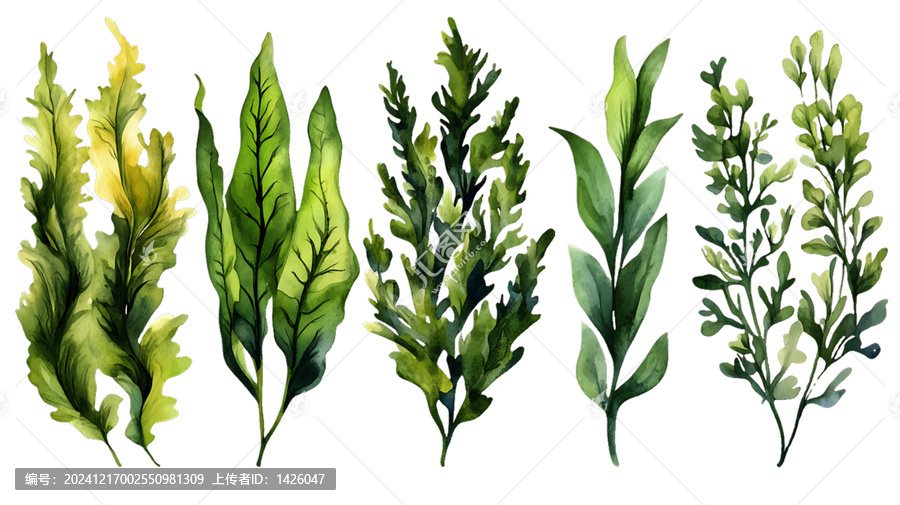 [免摳素材]水彩植物系列