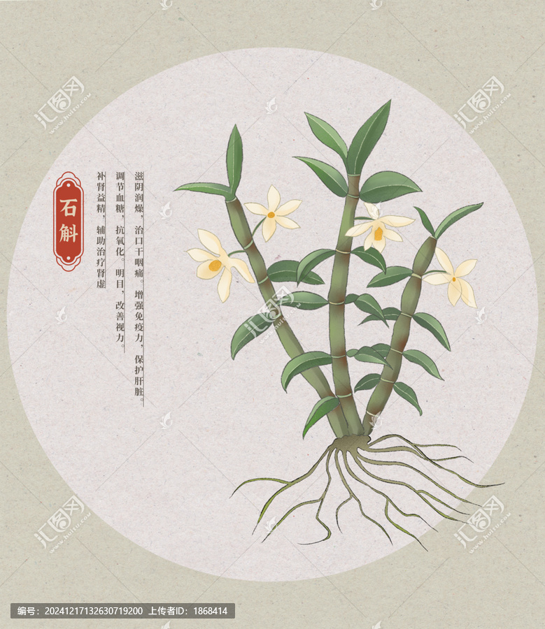 石斛中草藥國潮國風(fēng)水彩插畫