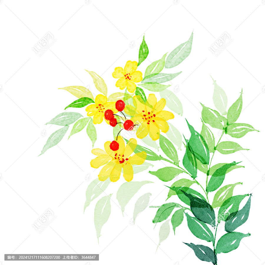 小清新水彩植物花朵