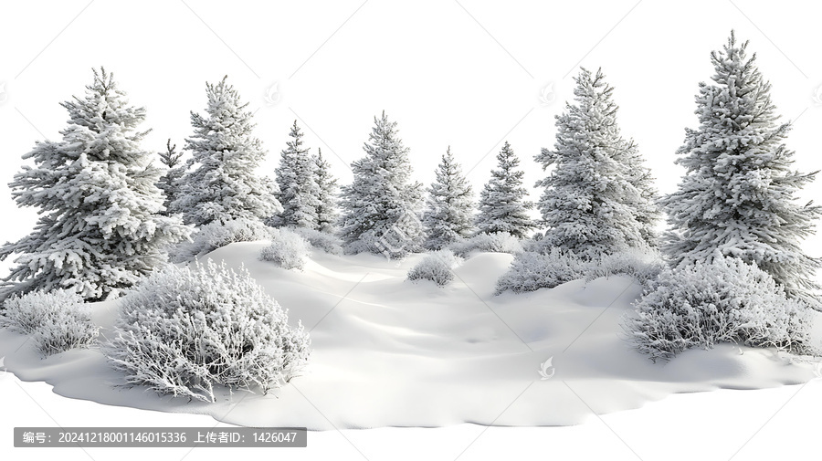 冬季奇觀雪地樹林