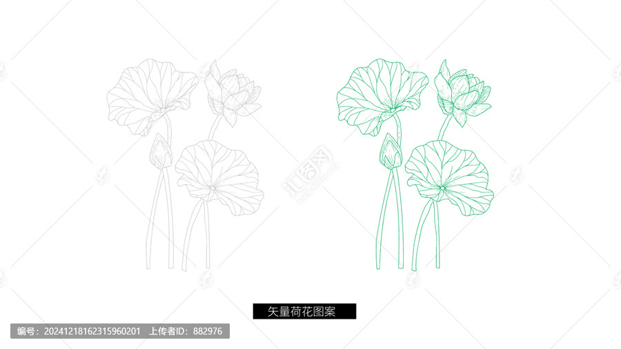荷花線條圖