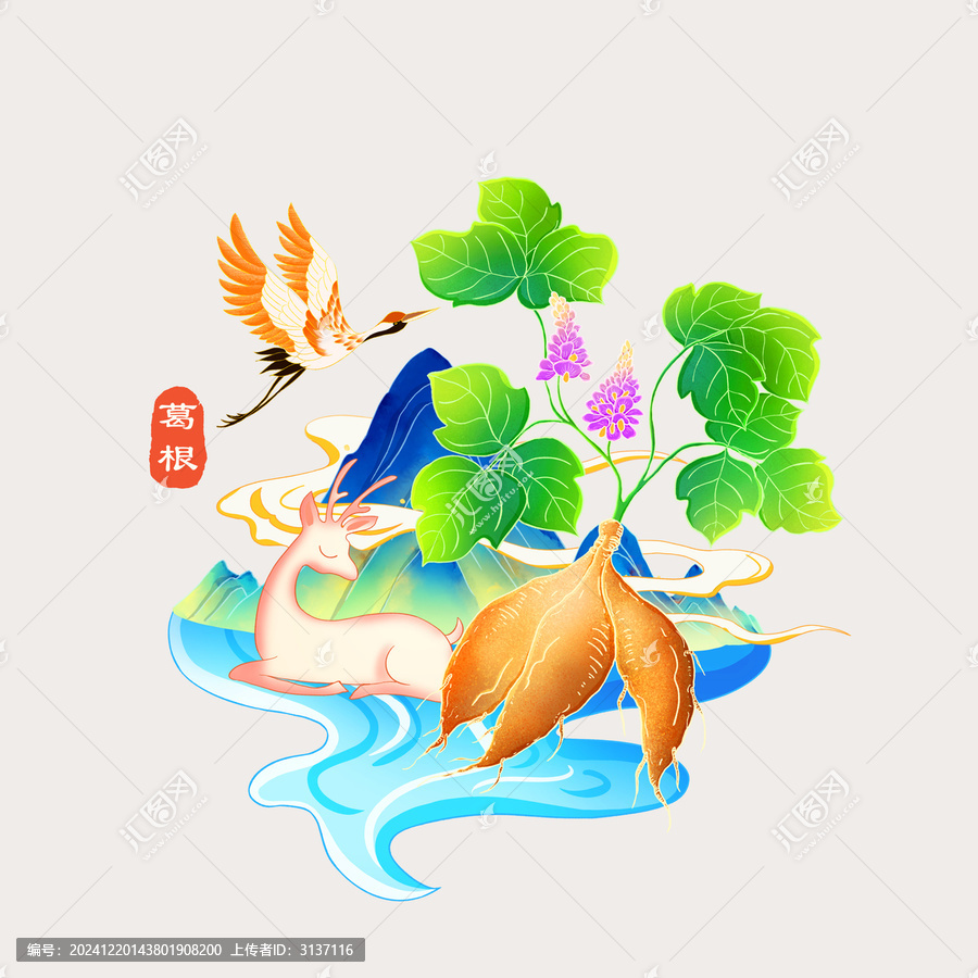 葛根
