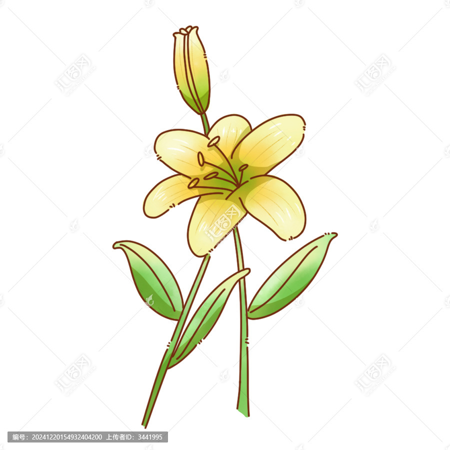 可愛(ài)百合花分層