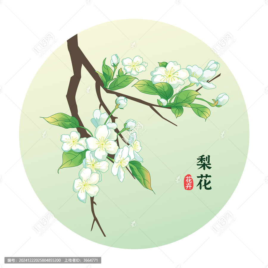 梨花插畫(huà)包裝花卉