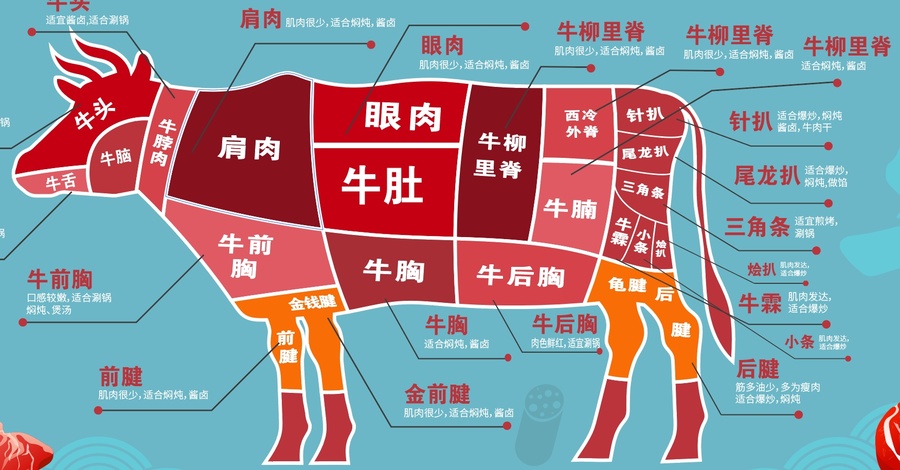 牛肉分割圖