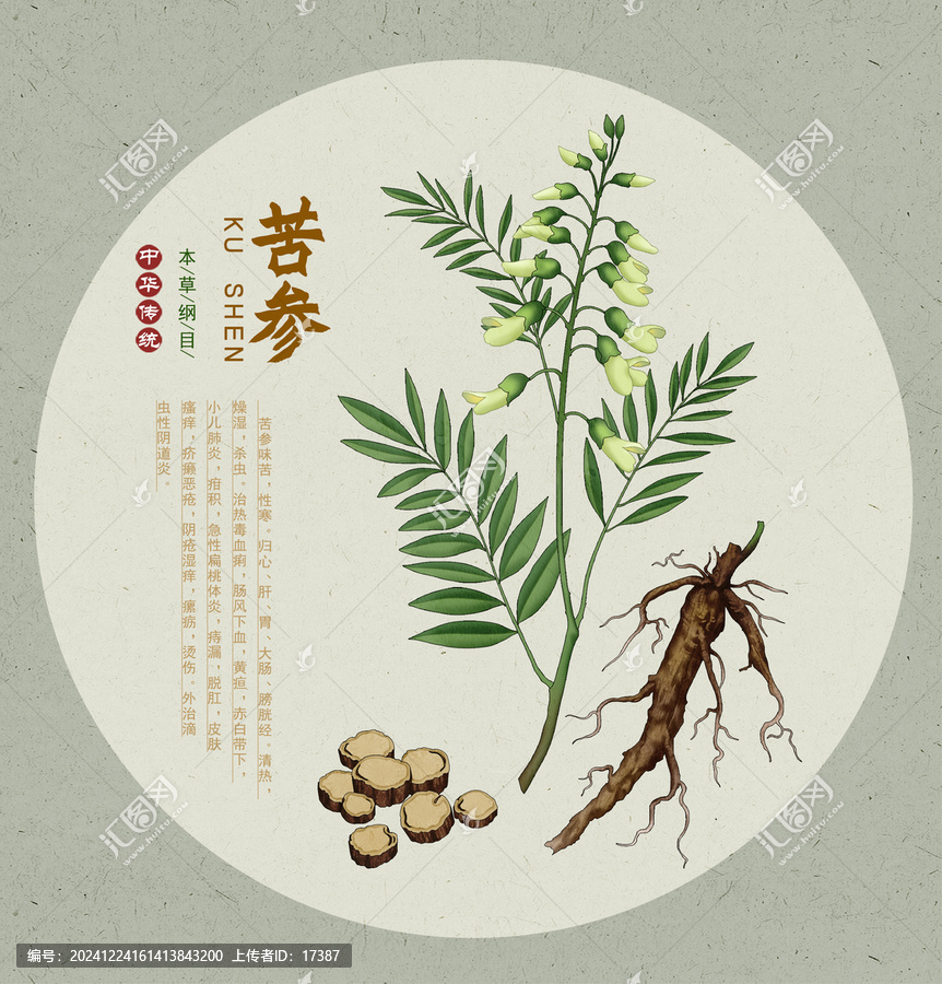 苦參