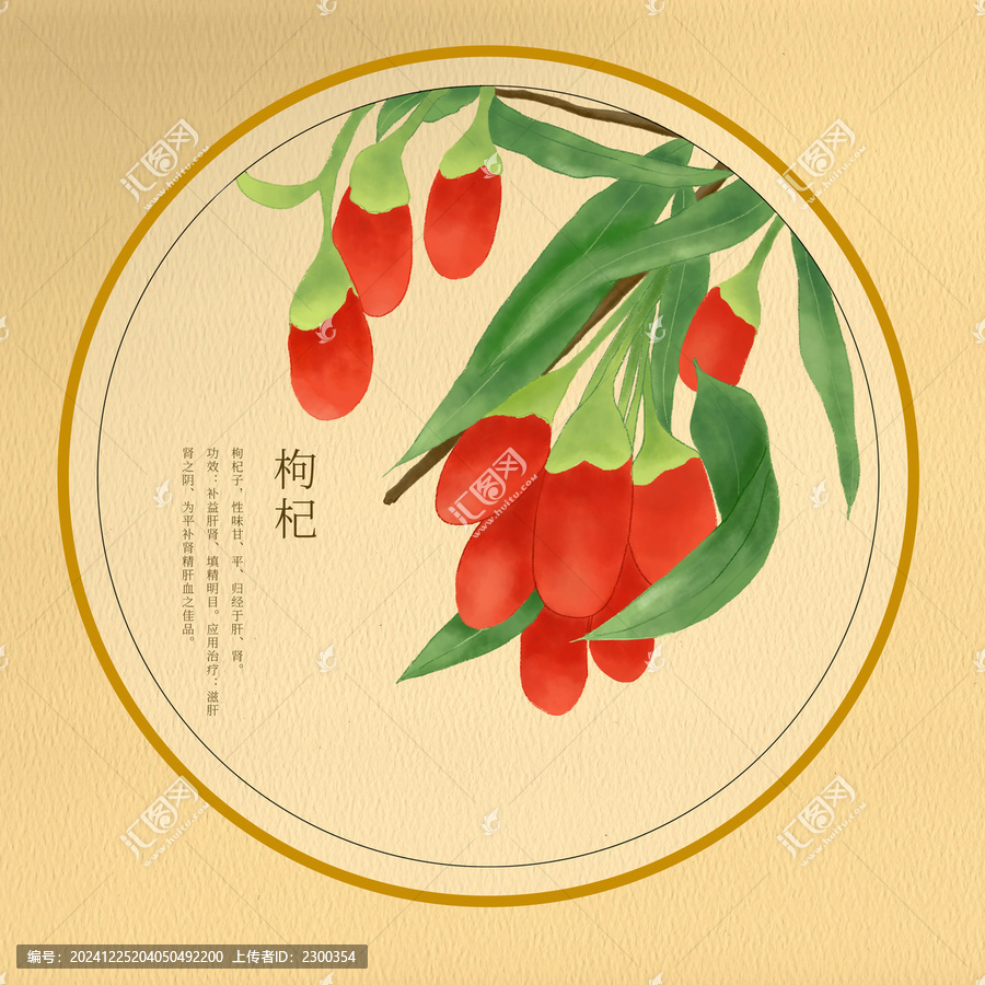 中華草藥手繪水彩枸杞