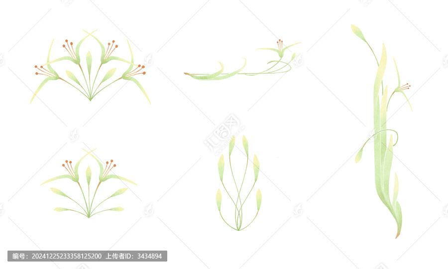 5個(gè)頂冰花植物元素