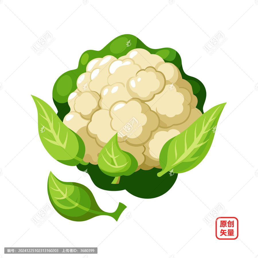 矢量插畫蔬菜生鮮菜花