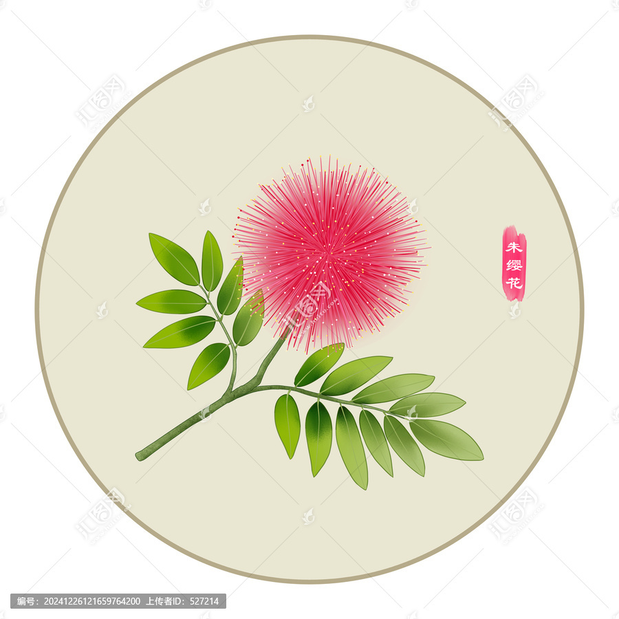 朱纓花