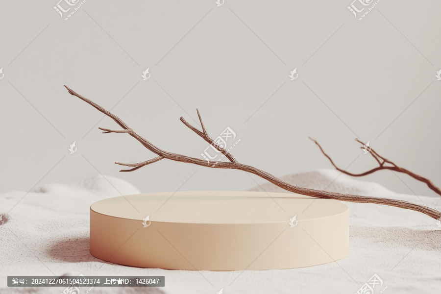極簡(jiǎn)米白色展示臺(tái)與枝干