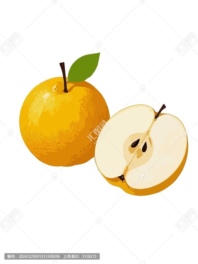 秋月梨插畫