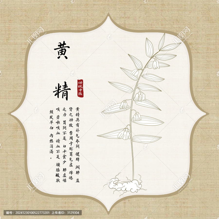 黃精線描