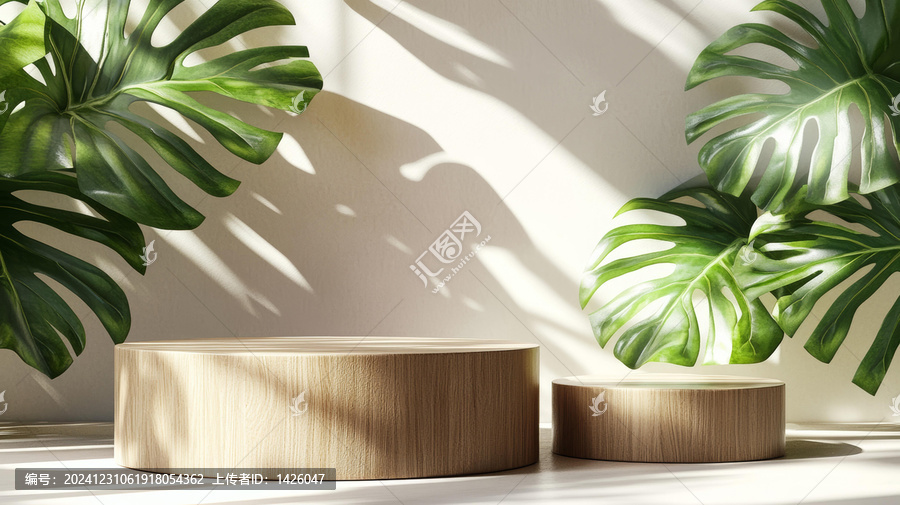 木質展示臺與熱帶植物