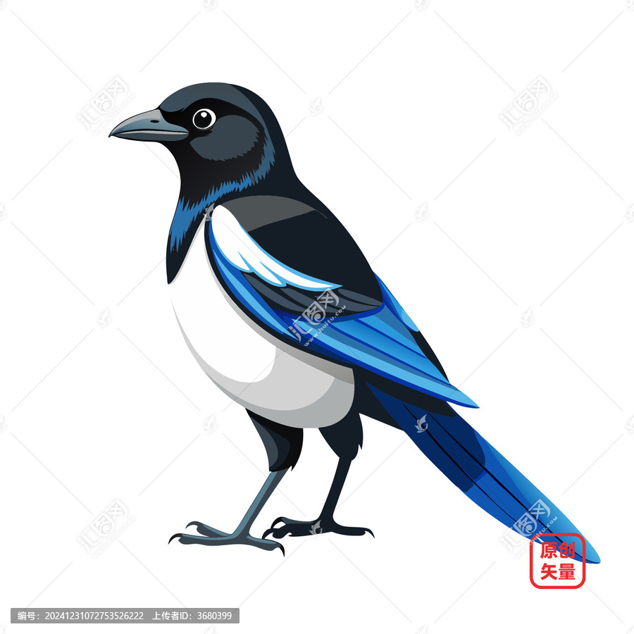 矢量插圖動(dòng)物鳥類喜鵲