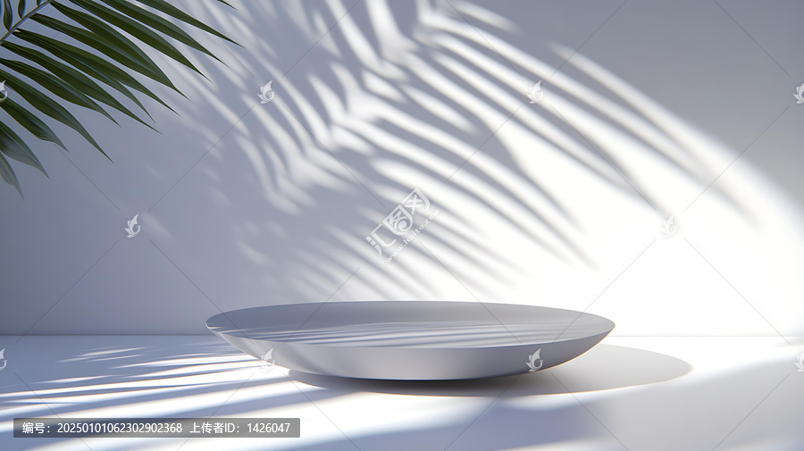 現(xiàn)代極簡產(chǎn)品展示與棕櫚葉陰影