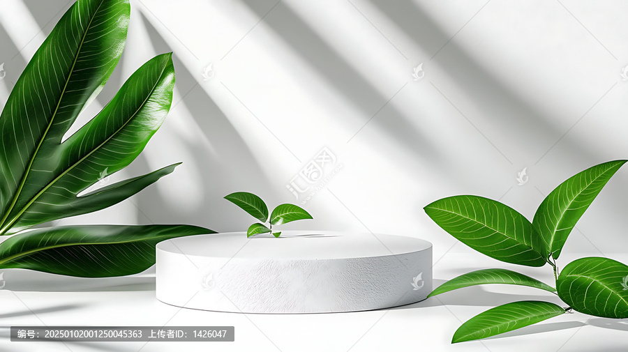 現(xiàn)代簡約白色展示臺與綠色植物