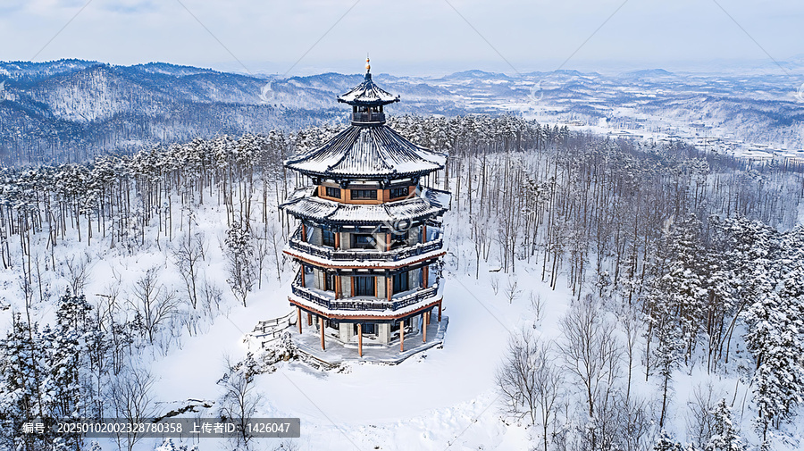 冬日雪景下的塔式建筑