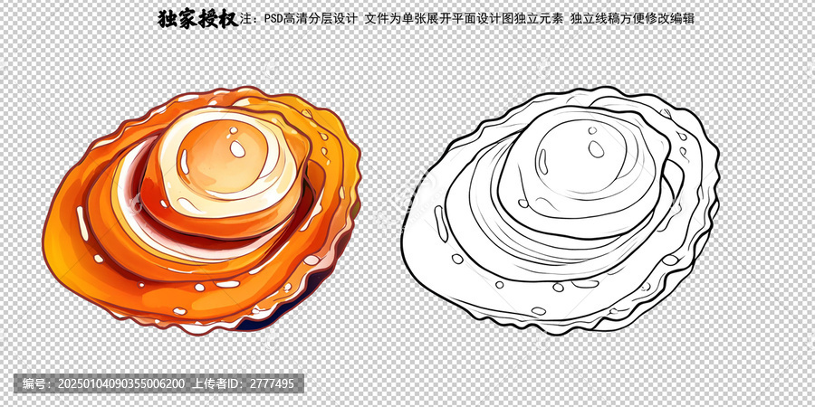 鮑魚插畫