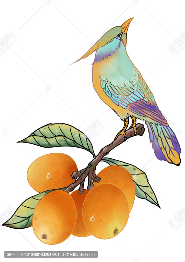 琵琶和鳥png