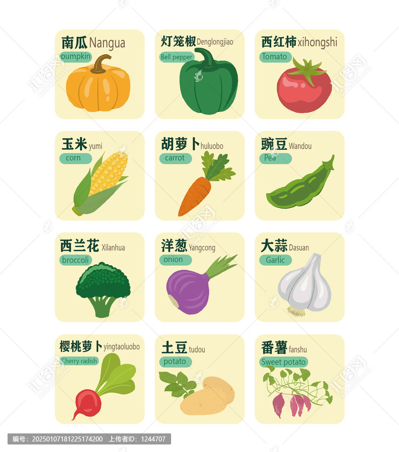 蔬菜卡片