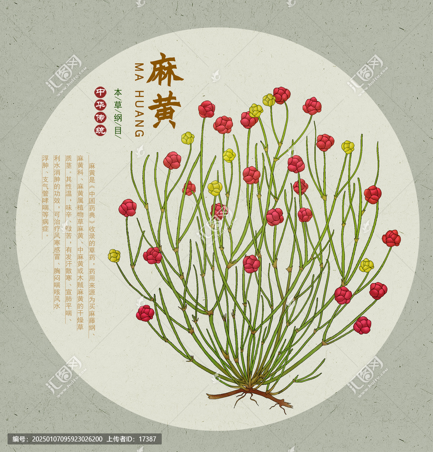 麻黃