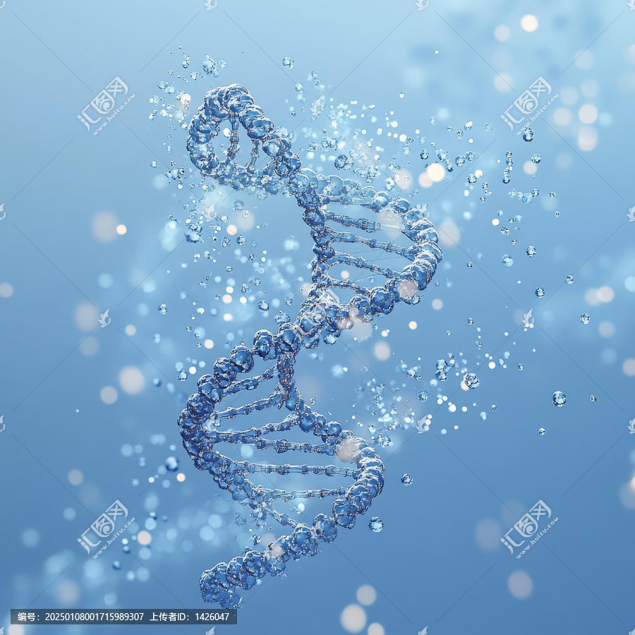 水分子中的DNA結構圖