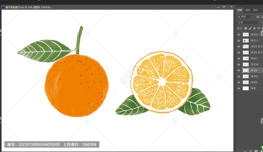 橙子手繪橙子