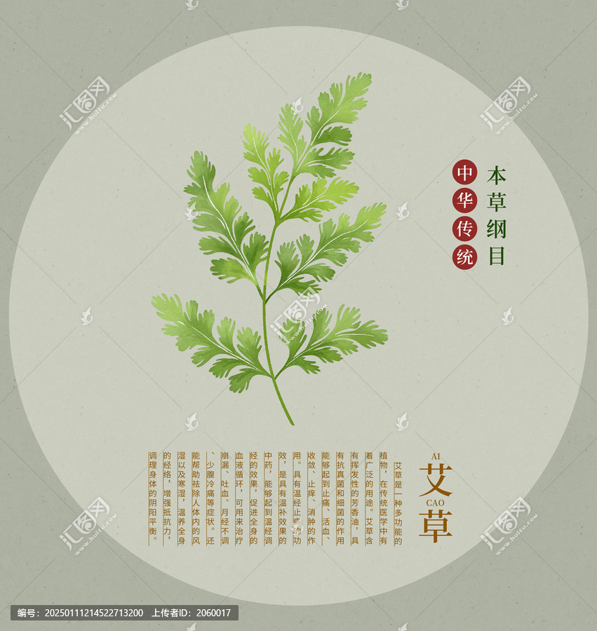 艾草手繪插畫草藥繪畫
