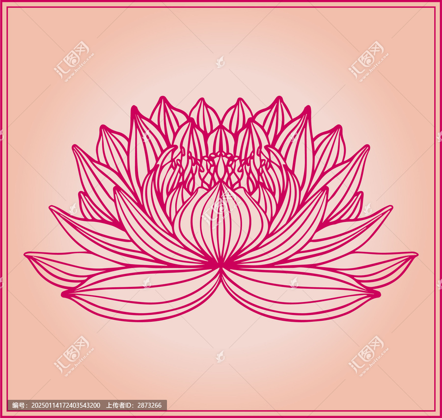 荷花圖案