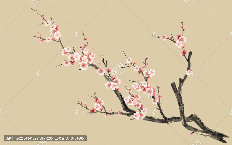 中國(guó)畫梅花