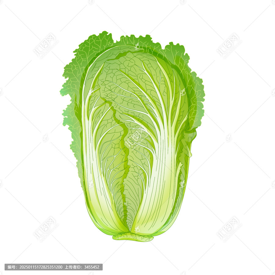 白菜