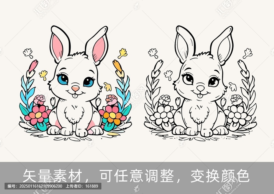 兔子