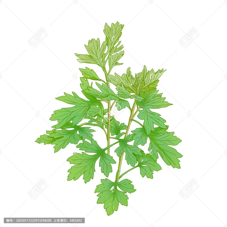 艾草