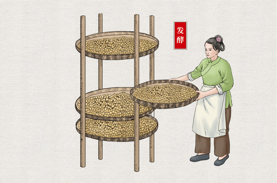 傳統(tǒng)醬油釀造黃豆發(fā)酵