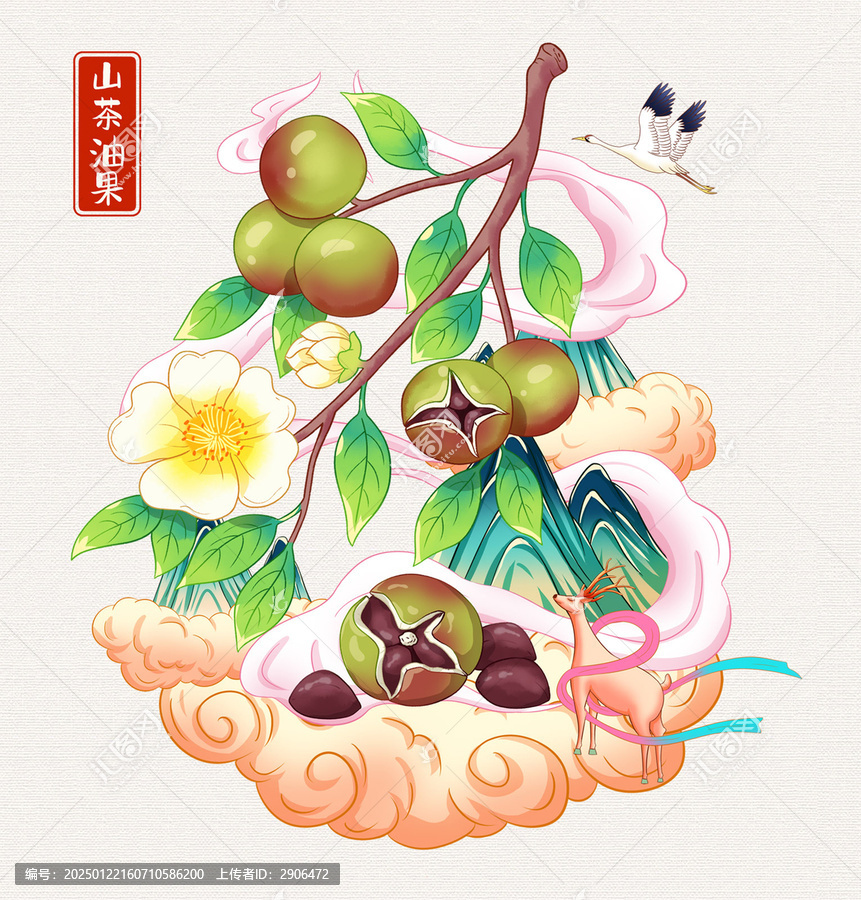 山茶油插畫手繪