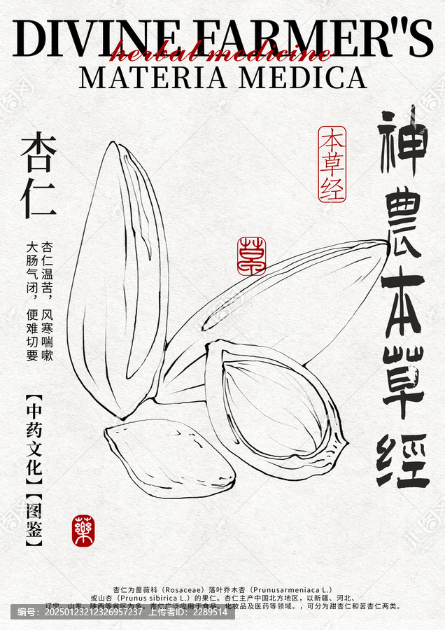 杏仁線稿手繪中藥材水彩插畫設計模版
