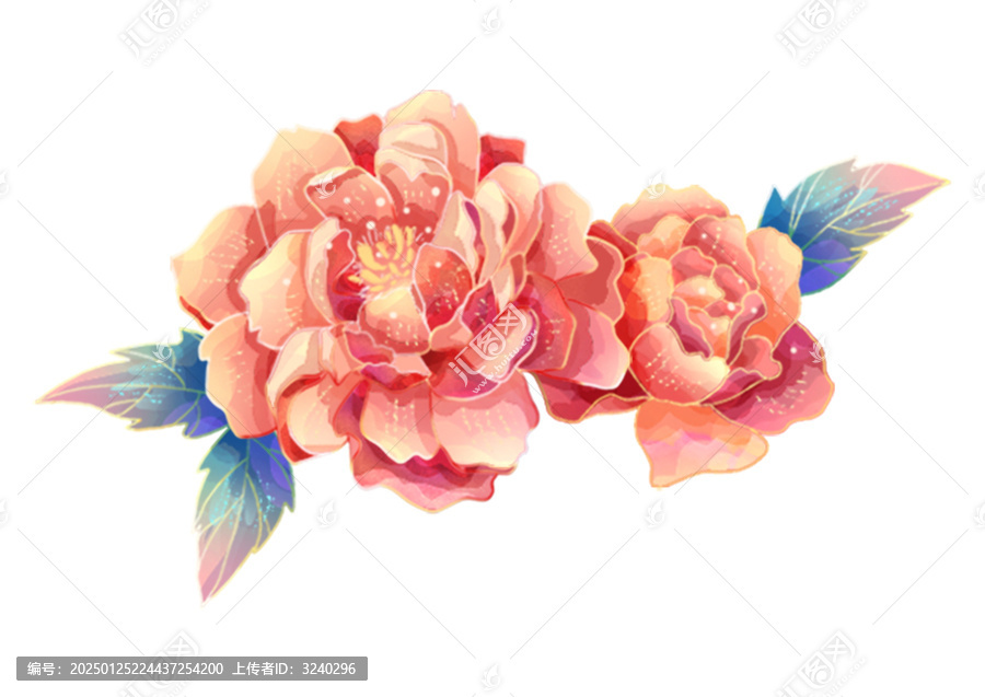 兩朵牡丹花國潮手繪插畫免摳素材