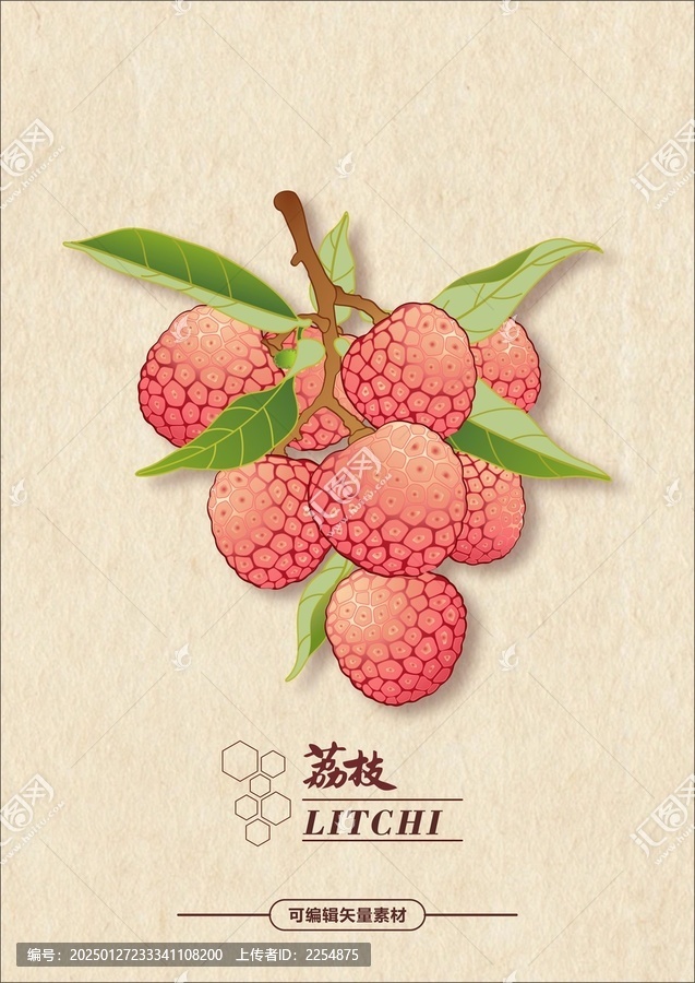 荔枝LITCHI