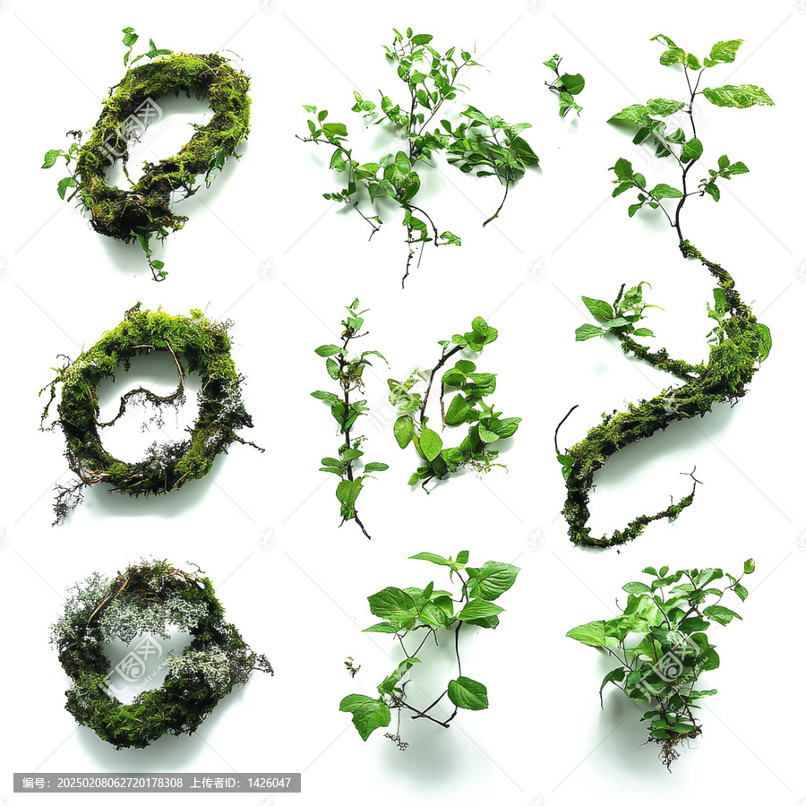 [免摳素材]白色背景上的植物組合
