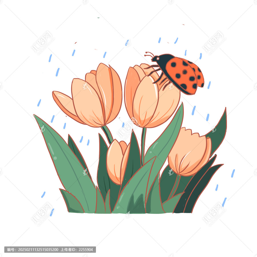 手繪卡通立春春雨昆蟲免摳元素