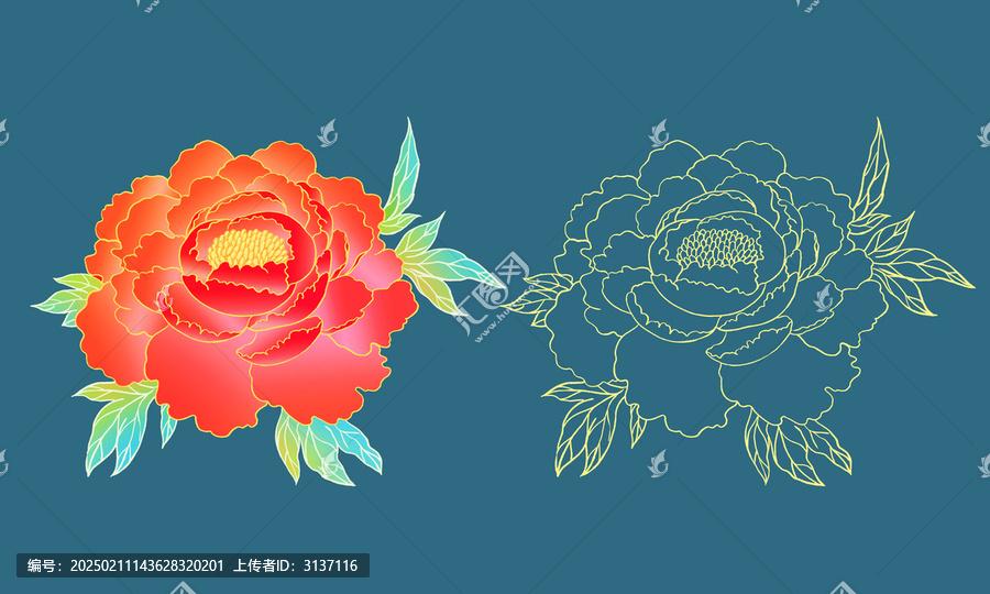 牡丹