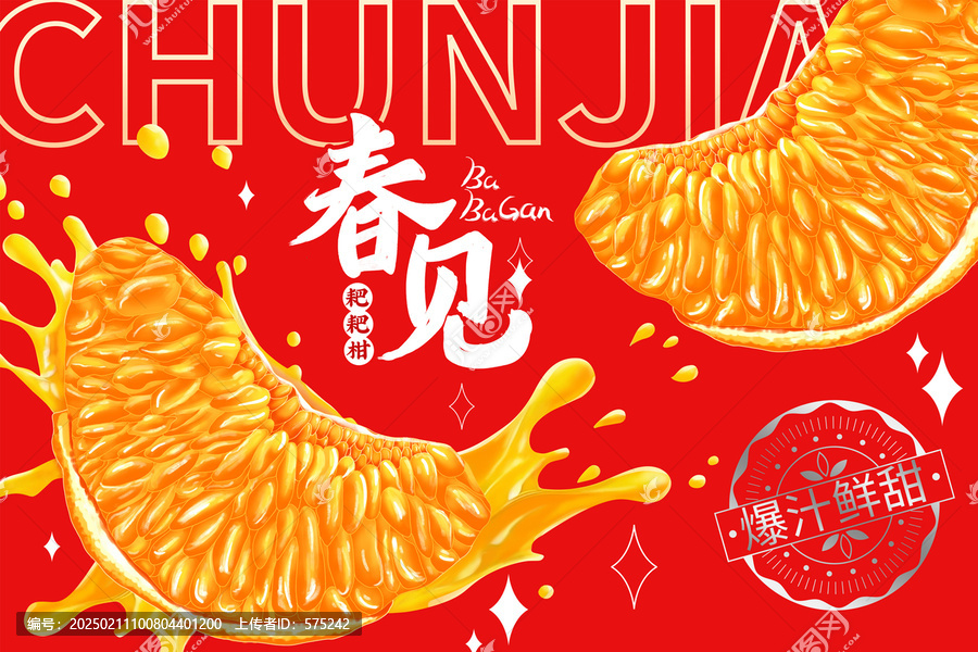 春見耙耙柑包裝插畫