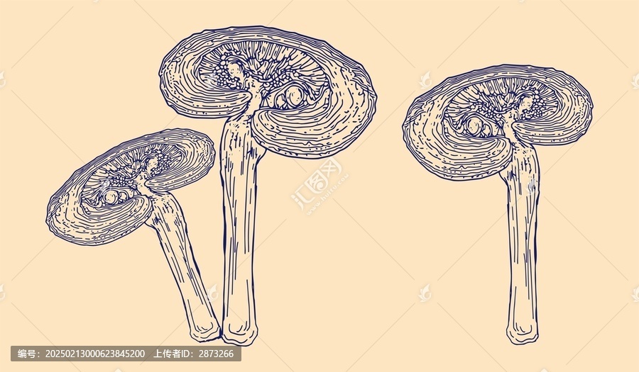 靈芝