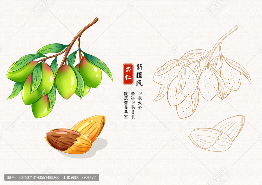 巴旦木插畫包裝