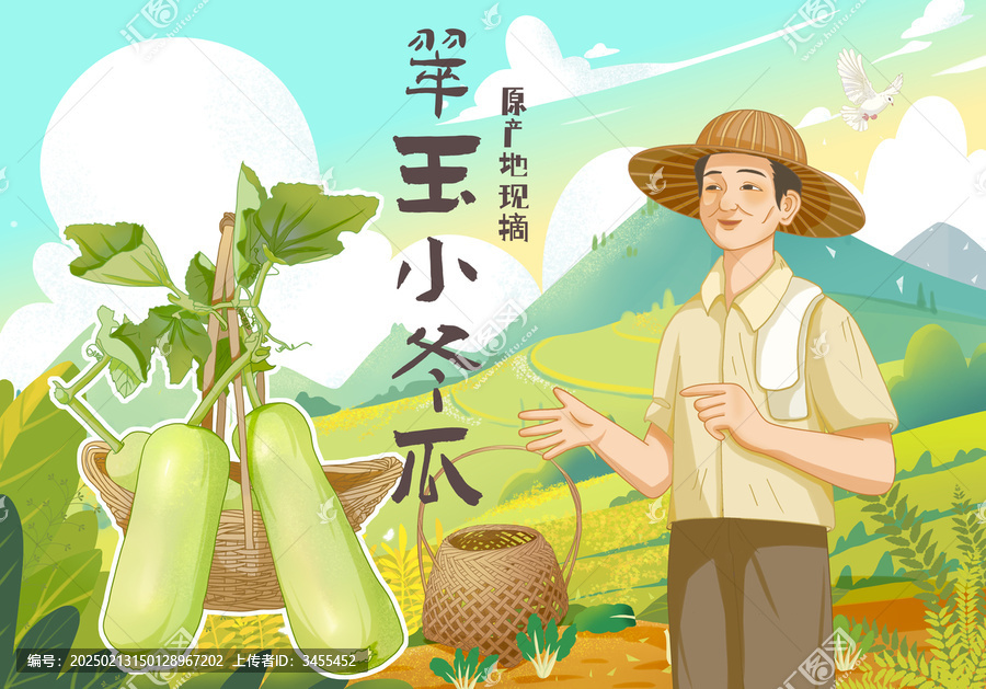冬瓜包裝插畫