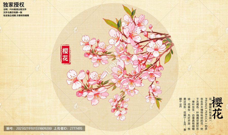 櫻花