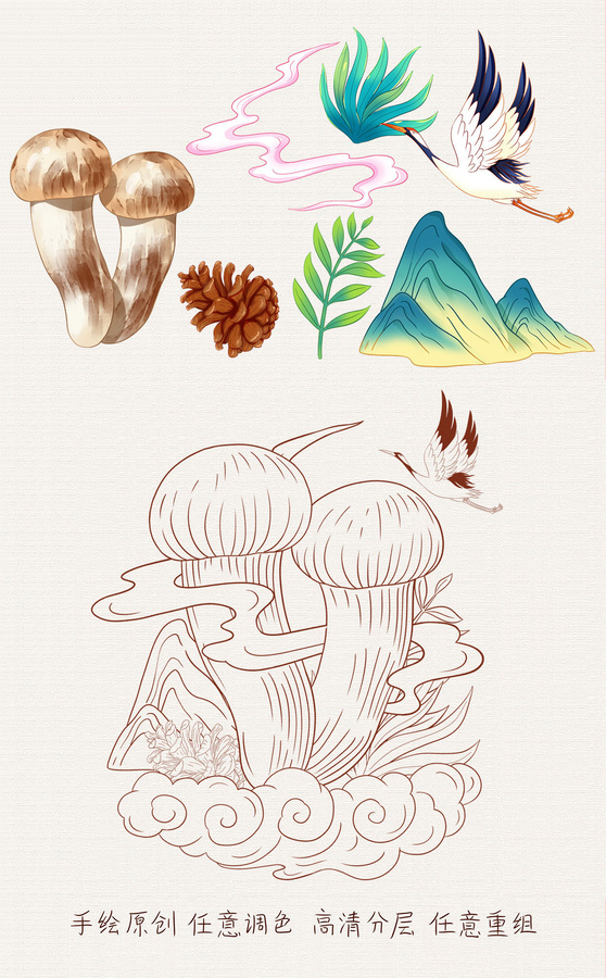松茸插畫手繪