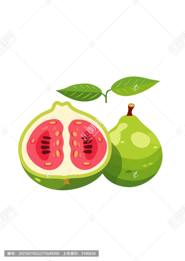 水果番石榴芭樂矢量便屏風(fēng)插畫